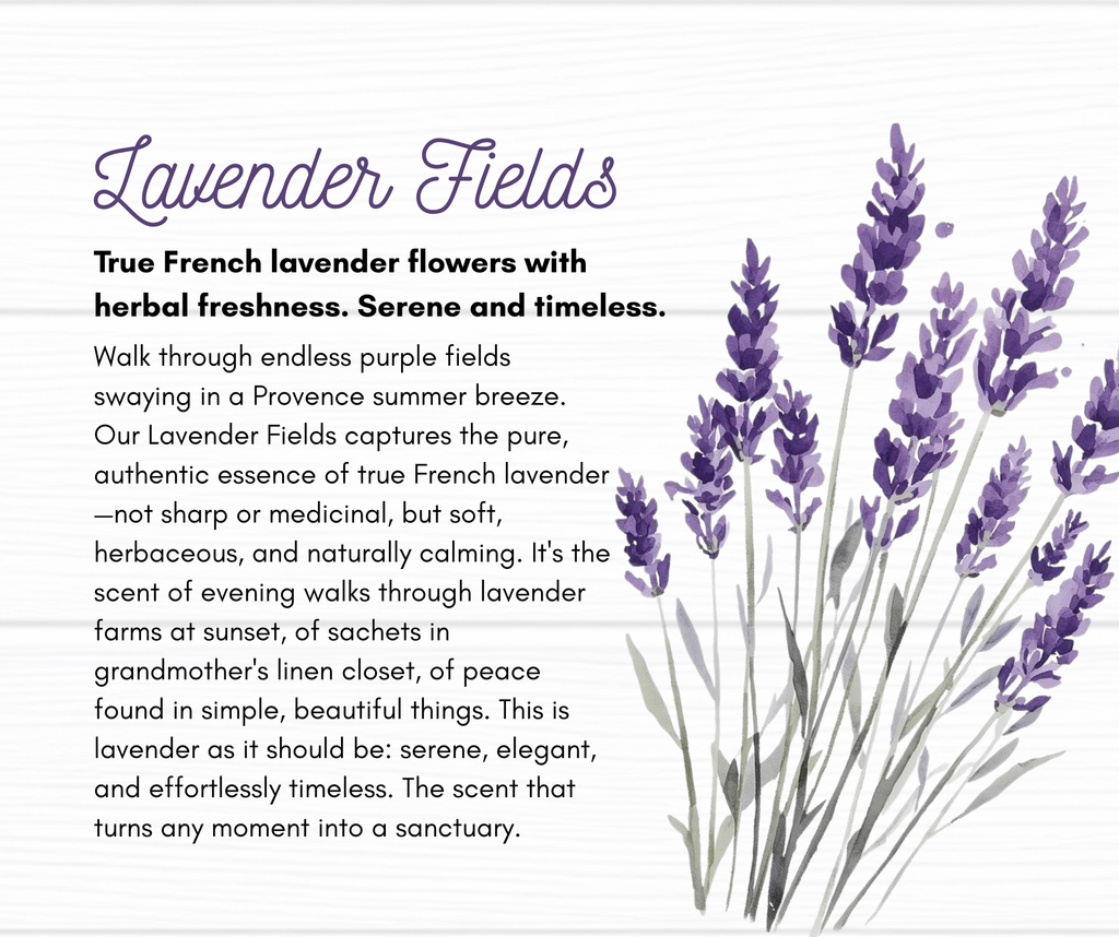 Lavender Fields